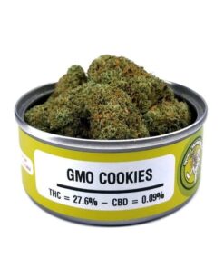 gmo cookies strain